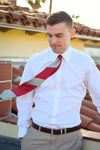 Lesovs Red and Gray Stripe Tie Blowing in the Wind